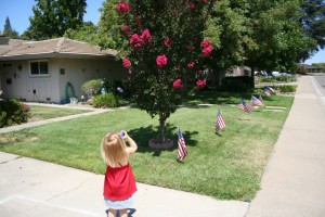 Future little photojournalist